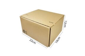 BOX WITH WITH AUTOMATIC BOTTOM 22x19x12cm SET/10